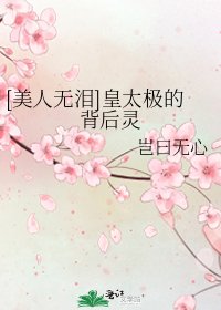 [美人無淚]皇太極的背後靈