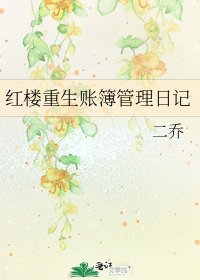 紅樓重生賬簿管理日記